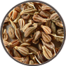Aniseed